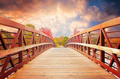 Bridge Download Jigsaw Puzzle