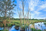 Lake Download Jigsaw Puzzle