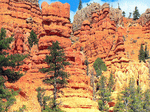 Bryce Canyon Download Jigsaw Puzzle