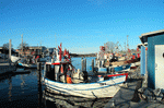 Baltic Fishing Boat Download Jigsaw Puzzle