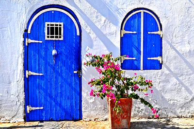 Blue Door, Turkey Download Jigsaw Puzzle