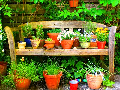 Flowers Download Jigsaw Puzzle