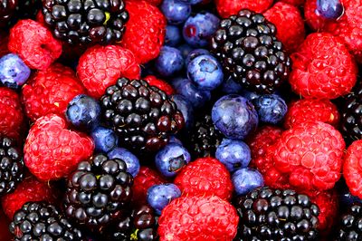 Berries Download Jigsaw Puzzle