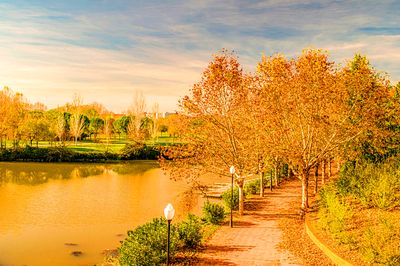 River Park Download Jigsaw Puzzle