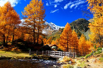 Bridge, Austria Download Jigsaw Puzzle