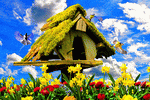 Flowers Download Jigsaw Puzzle
