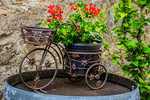 Flowers, France Download Jigsaw Puzzle