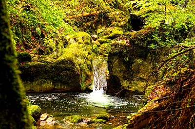 Mountain Stream, Switzerland Download Jigsaw Puzzle