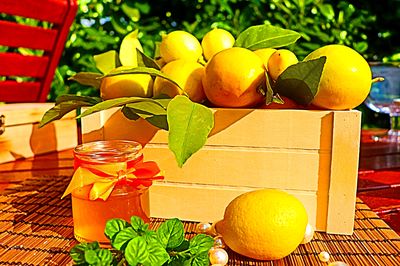 Lemons Download Jigsaw Puzzle