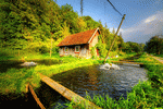 Trout Farm Download Jigsaw Puzzle