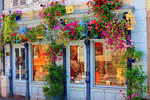 Flowers, France Download Jigsaw Puzzle