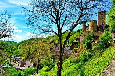 Tree, France Download Jigsaw Puzzle