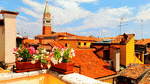Flowers, Italy Download Jigsaw Puzzle