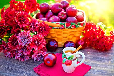 Apples Download Jigsaw Puzzle