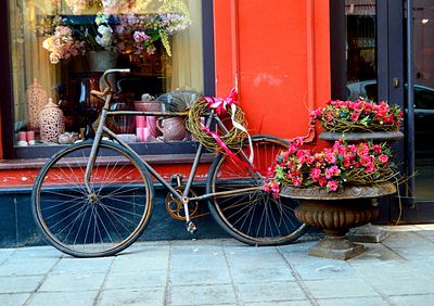 Flowers Download Jigsaw Puzzle