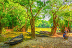 Boats, Bangladesh Download Jigsaw Puzzle