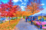 Autumn Foliage, Vermont Download Jigsaw Puzzle