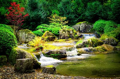Stone Garden Download Jigsaw Puzzle