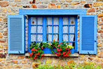 Flowers Download Jigsaw Puzzle