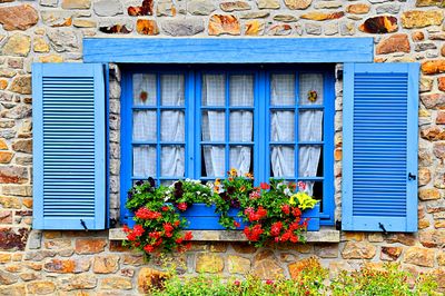 Flowers Download Jigsaw Puzzle