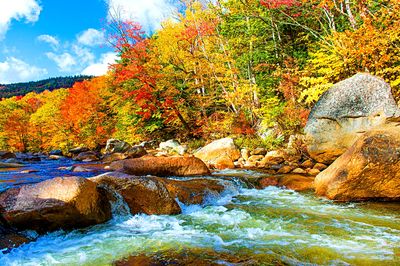 Autumn River Download Jigsaw Puzzle