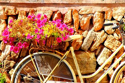 Flowers Download Jigsaw Puzzle