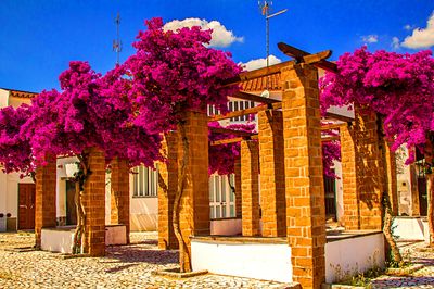 Flowers Download Jigsaw Puzzle