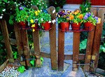 Flowers Download Jigsaw Puzzle