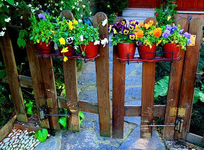 Flowers Download Jigsaw Puzzle