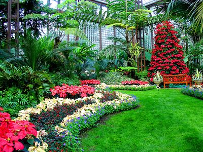Flowers Download Jigsaw Puzzle