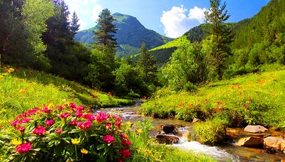 Flowers Download Jigsaw Puzzle