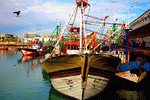 Boats, Casablanca Download Jigsaw Puzzle