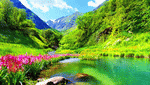 Flowers Download Jigsaw Puzzle