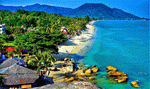 Tropical Beach Download Jigsaw Puzzle