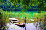 Rowboat Download Jigsaw Puzzle
