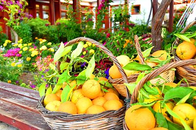 Oranges Download Jigsaw Puzzle