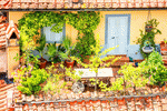 Patio Download Jigsaw Puzzle