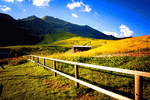 Fence Download Jigsaw Puzzle