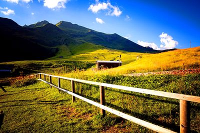 Fence Download Jigsaw Puzzle