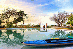 Pond Download Jigsaw Puzzle