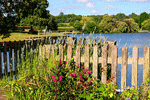 Fence Download Jigsaw Puzzle