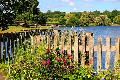 Fence Download Jigsaw Puzzle