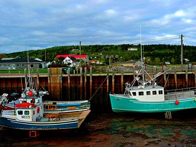 Boats Download Jigsaw Puzzle