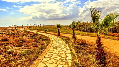 Flagstone Walkway Download Jigsaw Puzzle