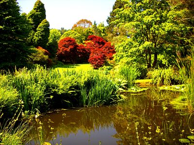 Park Pond Download Jigsaw Puzzle
