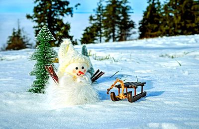Snowman Download Jigsaw Puzzle