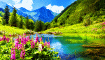 Flowers Download Jigsaw Puzzle