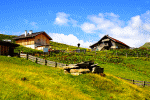 Hillside Houses Download Jigsaw Puzzle