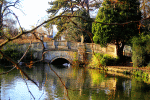 Bridge Download Jigsaw Puzzle
