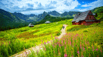 Download Jigsaw Puzzle